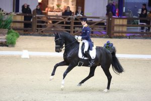 Viersterren dressuur CDI Lier