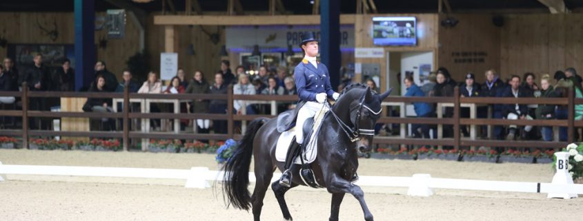 Viersterren dressuur CDI Lier