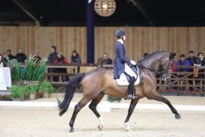 Viersterren dressuur CDI Lier