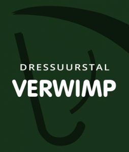 Dressuur CDI Lier