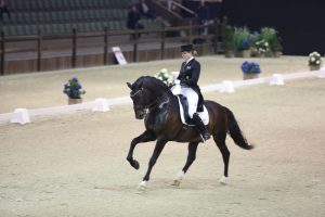 Viersterren dressuur CDI Lier