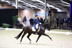 Viersterren dressuur CDI Lier