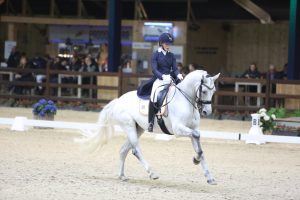 Viersterren dressuur CDI Lier