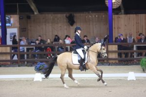 Viersterren dressuur CDI Lier