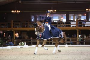 Viersterren dressuur CDI Lier