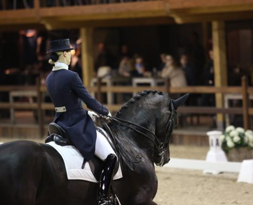 Viersterren dressuur CDI Lier