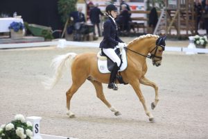 Viersterren dressuur CDI Lier