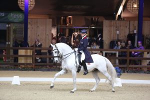 Viersterren dressuur CDI Lier