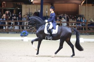 Viersterren dressuur CDI Lier