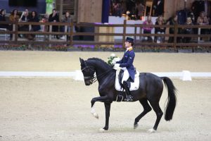 Viersterren dressuur CDI Lier