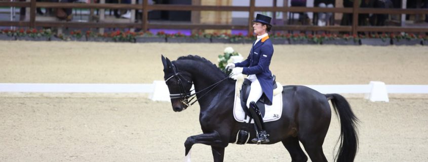 Viersterren dressuur CDI Lier