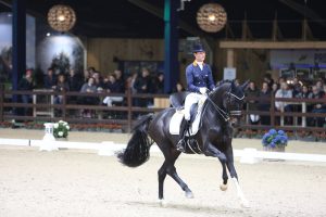 Viersterren dressuur CDI Lier