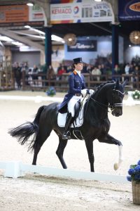 Viersterren dressuur CDI Lier