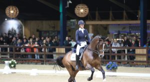 Viersterren dressuur CDI Lier