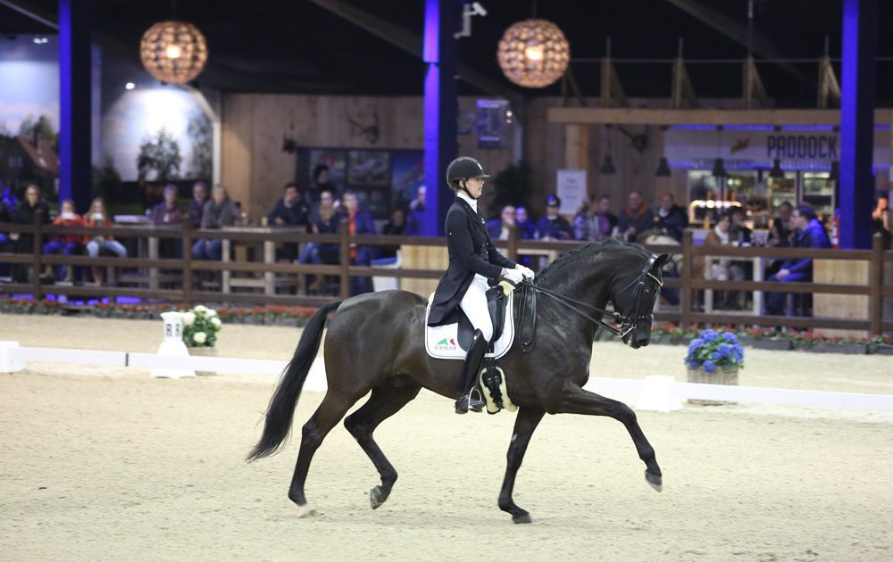 Viersterren dressuur CDI Lier