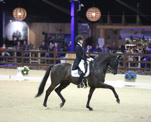 Viersterren dressuur CDI Lier