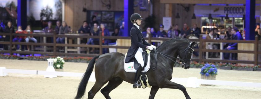 Viersterren dressuur CDI Lier