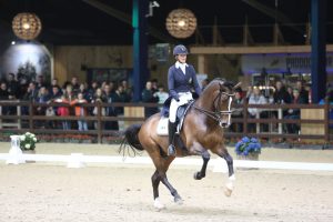 Viersterren dressuur CDI Lier