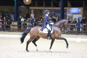 Viersterren dressuur CDI Lier