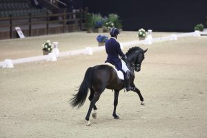 Viersterren dressuur CDI Lier