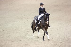 Viersterren dressuur CDI Lier