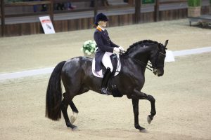 Viersterren dressuur CDI Lier