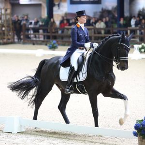 Viersterren dressuur CDI Lier