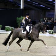 Viersterren dressuur CDI Lier