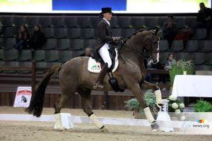 Viersterren dressuur CDI Lier