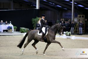 Viersterren dressuur CDI Lier