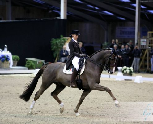 Viersterren dressuur CDI Lier