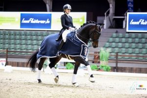 Viersterren dressuur CDI Lier