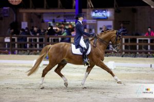 Viersterren dressuur CDI Lier