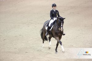 Viersterren dressuur CDI Lier