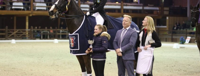 Viersterren dressuur CDI Lier