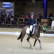 Viersterren dressuur CDI Lier