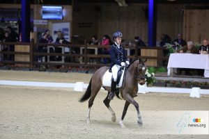 Viersterren dressuur CDI Lier