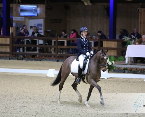 Viersterren dressuur CDI Lier