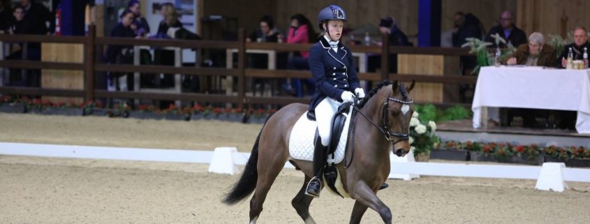 Viersterren dressuur CDI Lier