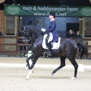 Viersterren dressuur CDI Lier