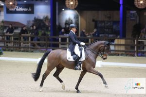 Viersterren dressuur CDI Lier