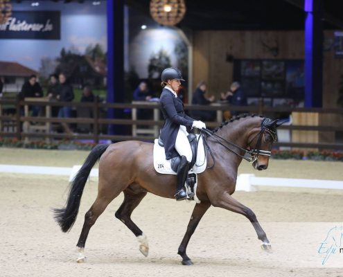 Viersterren dressuur CDI Lier