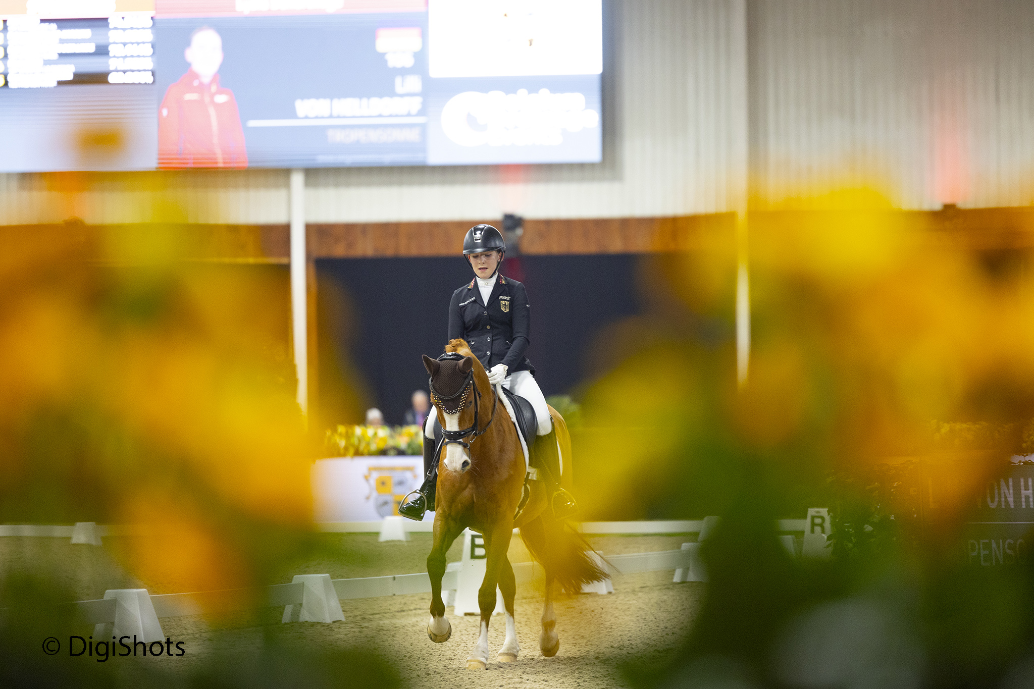 Three in a row for Lilli von Helldorff | Belgium Dressage Events
